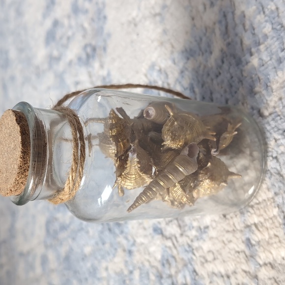 Sea shell jar - Picture 1 of 1